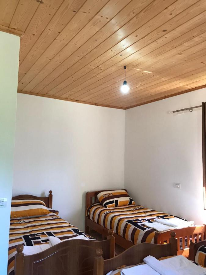 Elvis Blini Thethi Hotel Ngoại thất bức ảnh