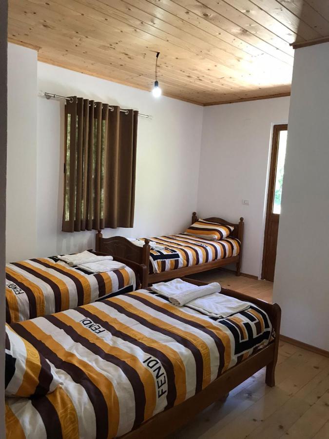 Elvis Blini Thethi Hotel Ngoại thất bức ảnh