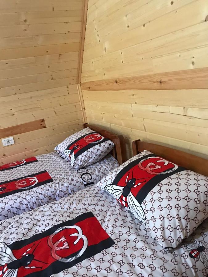 Elvis Blini Thethi Hotel Ngoại thất bức ảnh