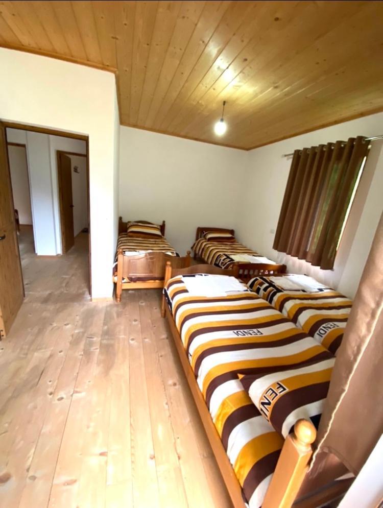 Elvis Blini Thethi Hotel Ngoại thất bức ảnh